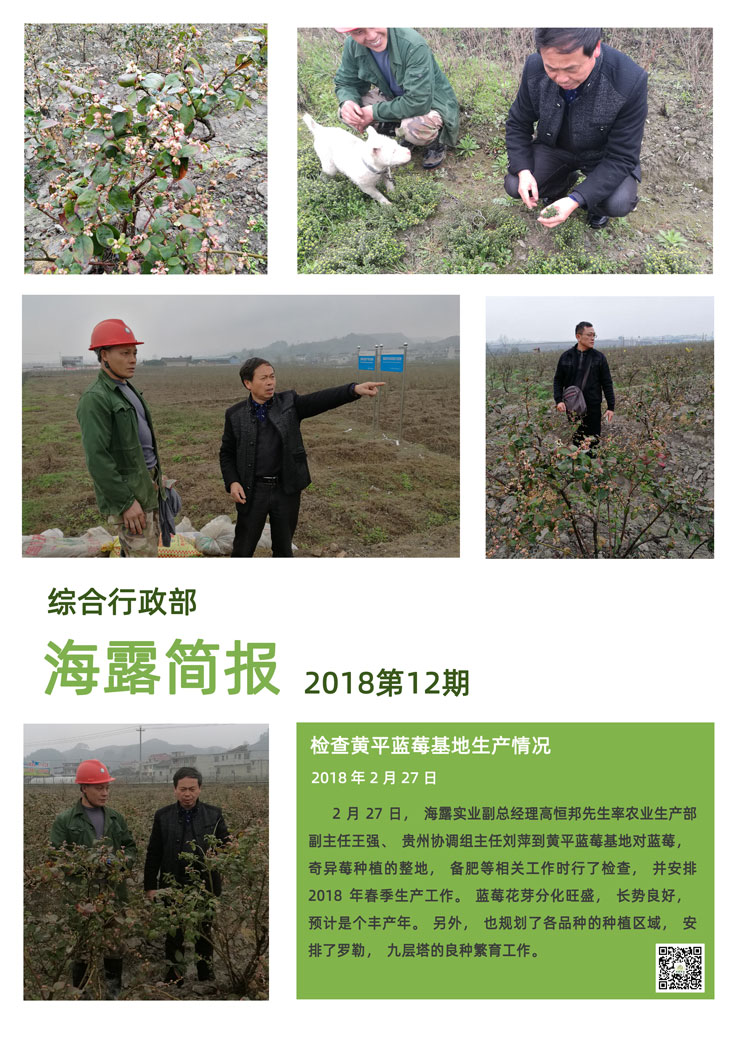 首页| 402cc永利集团中国区官方网站