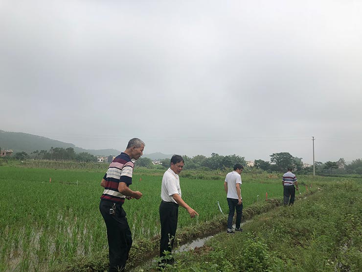 首页| 402cc永利集团中国区官方网站