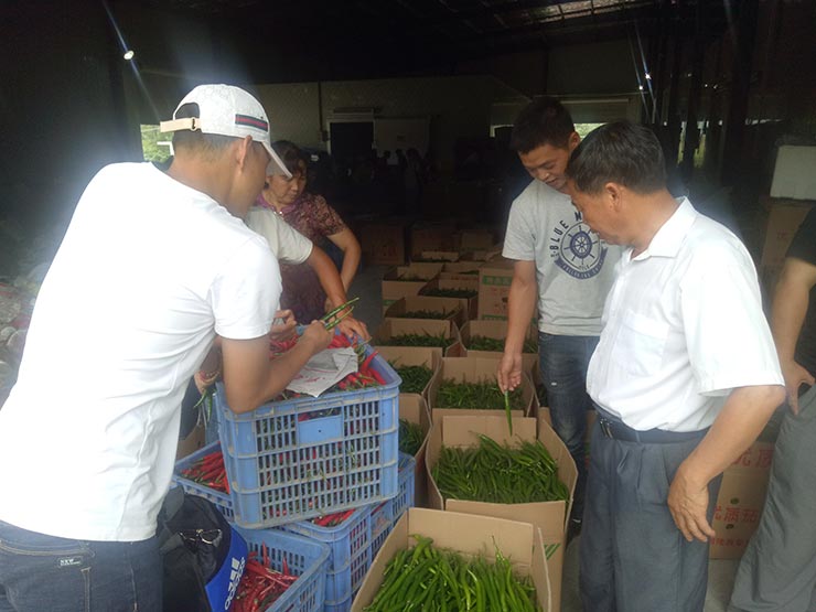 首页| 402cc永利集团中国区官方网站