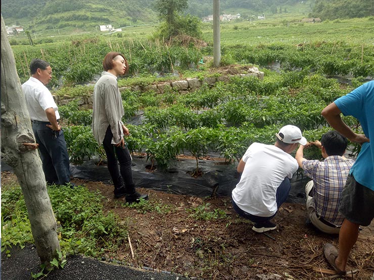 首页| 402cc永利集团中国区官方网站
