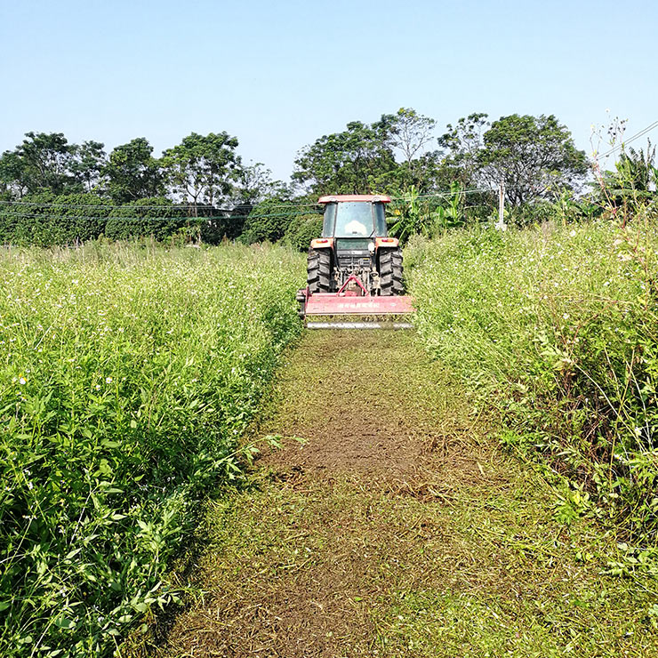 首页| 402cc永利集团中国区官方网站