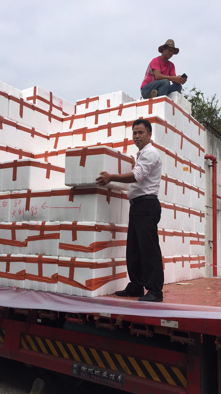 首页| 402cc永利集团中国区官方网站