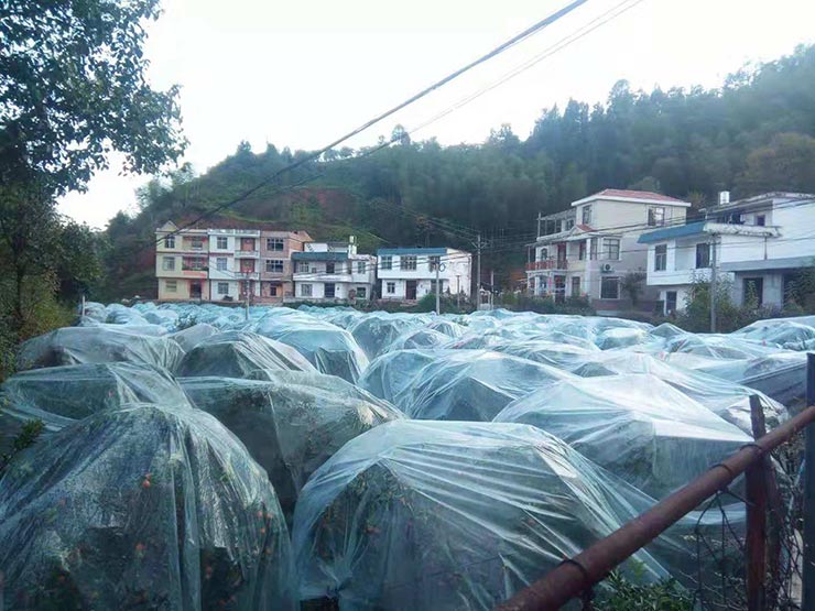 首页| 402cc永利集团中国区官方网站