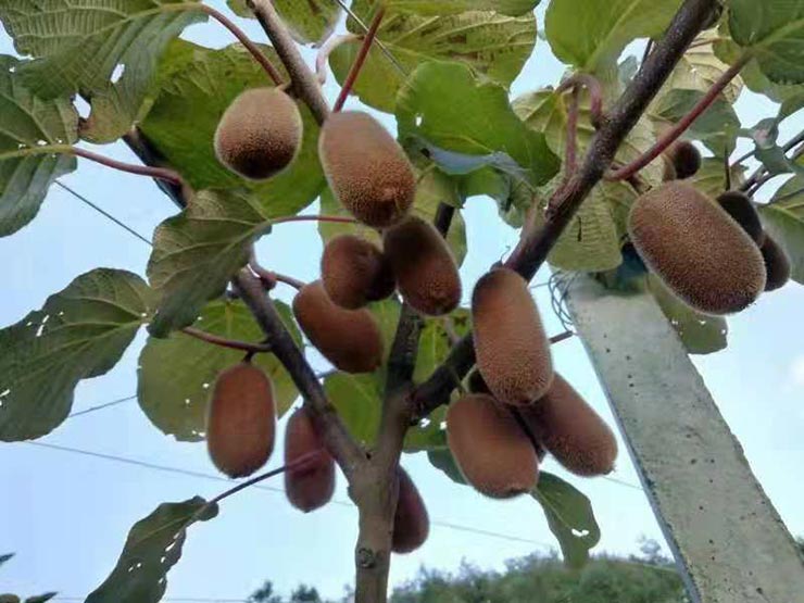 首页| 402cc永利集团中国区官方网站