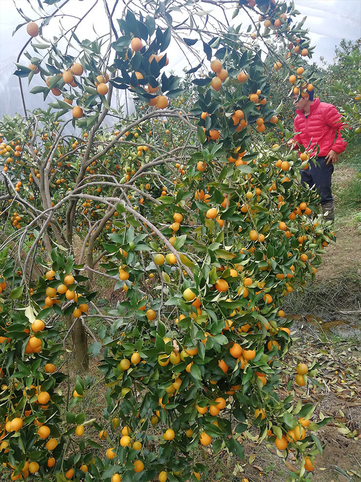 首页| 402cc永利集团中国区官方网站