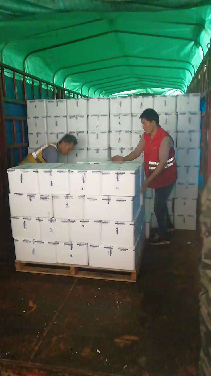 首页| 402cc永利集团中国区官方网站