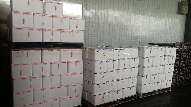 首页| 402cc永利集团中国区官方网站