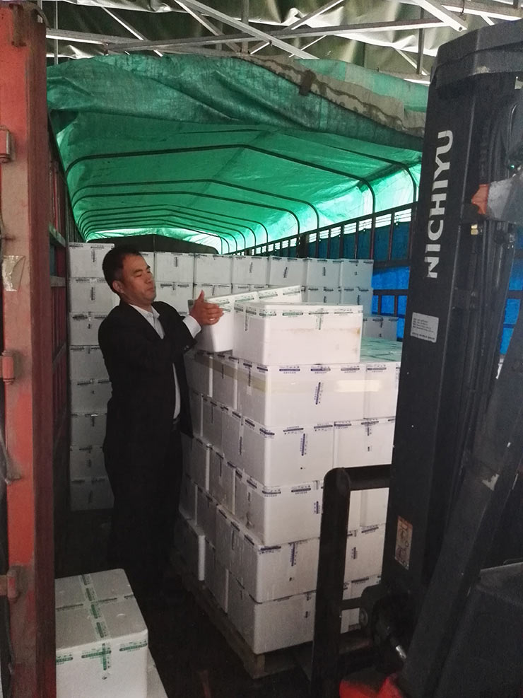 首页| 402cc永利集团中国区官方网站