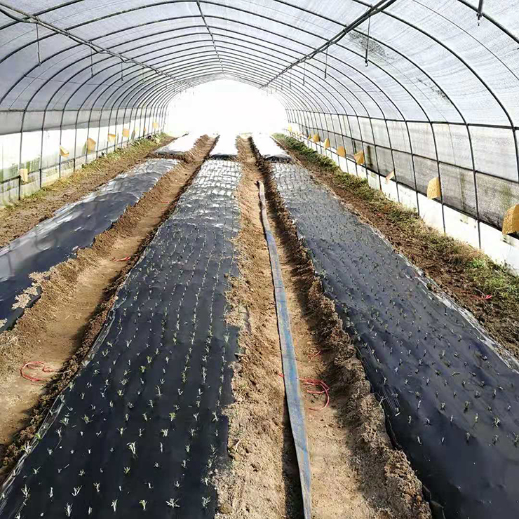 首页| 402cc永利集团中国区官方网站