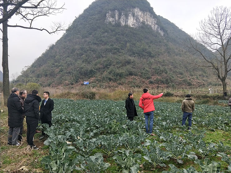 首页| 402cc永利集团中国区官方网站