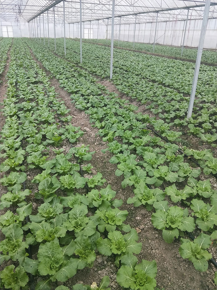 首页| 402cc永利集团中国区官方网站