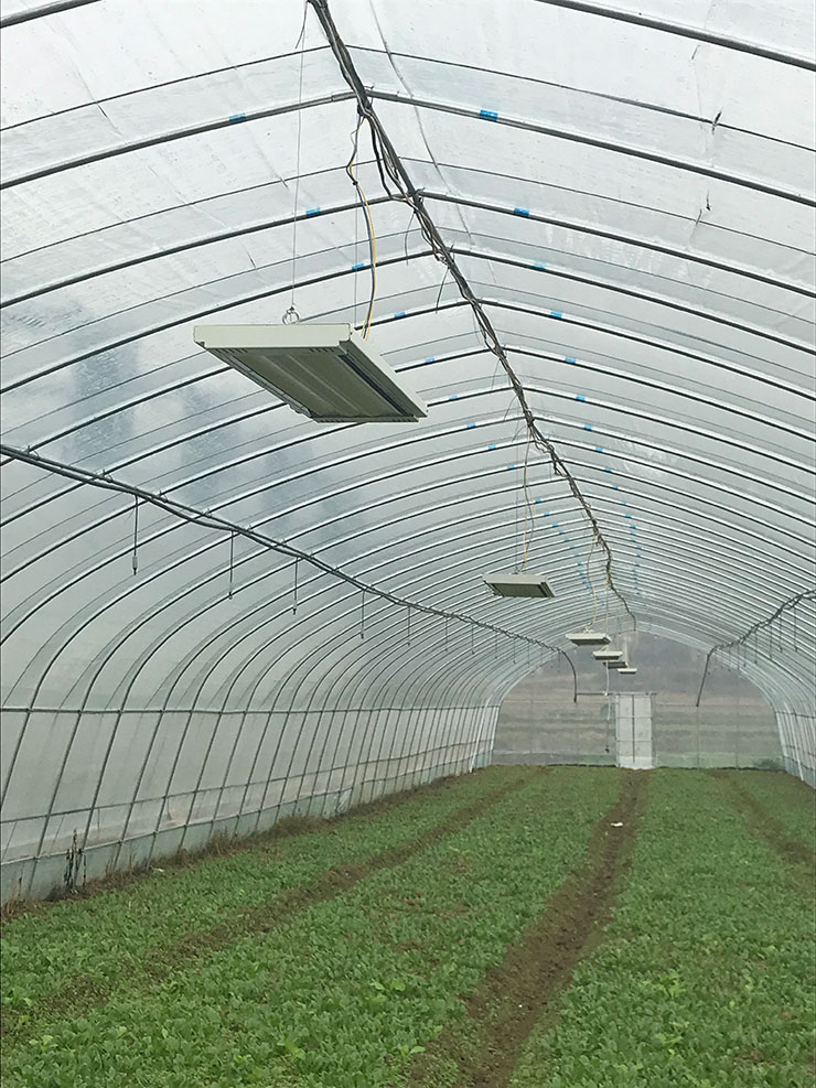 首页| 402cc永利集团中国区官方网站