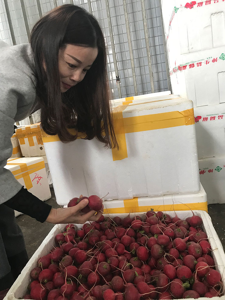 首页| 402cc永利集团中国区官方网站