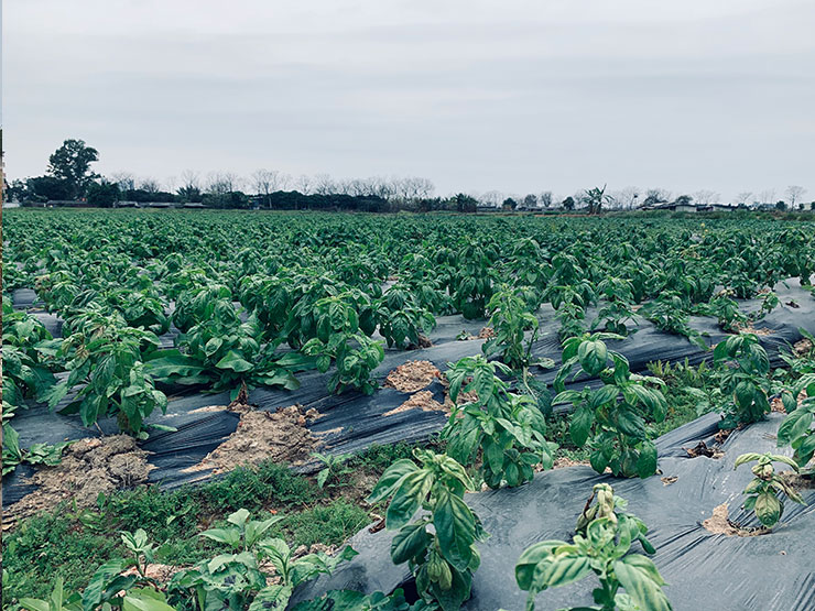 首页| 402cc永利集团中国区官方网站
