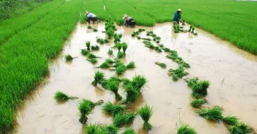 首页| 402cc永利集团中国区官方网站