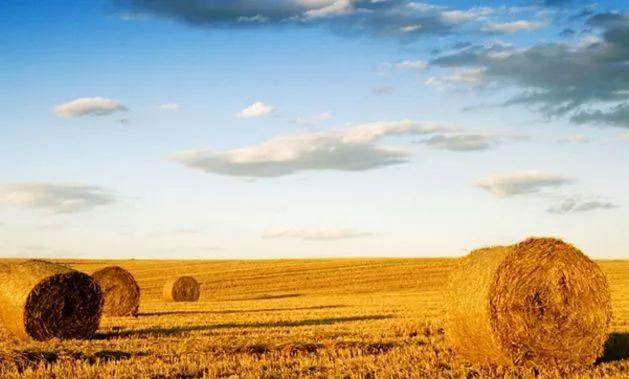 首页| 402cc永利集团中国区官方网站