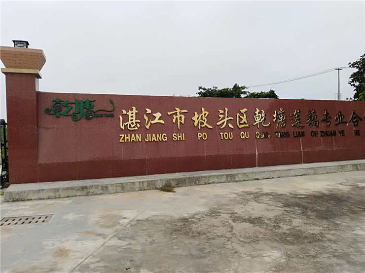 首页| 402cc永利集团中国区官方网站