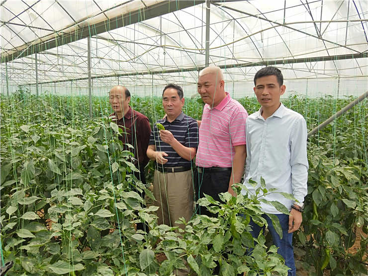 首页| 402cc永利集团中国区官方网站