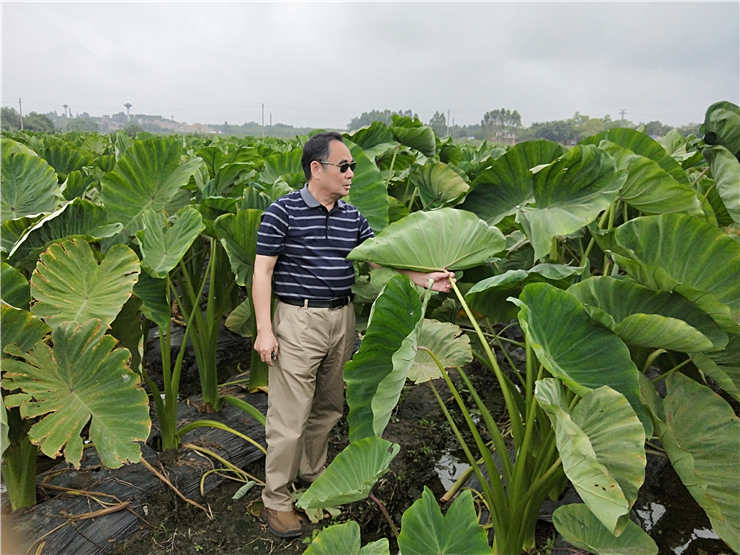 首页| 402cc永利集团中国区官方网站