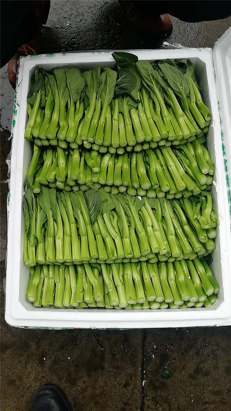 首页| 402cc永利集团中国区官方网站