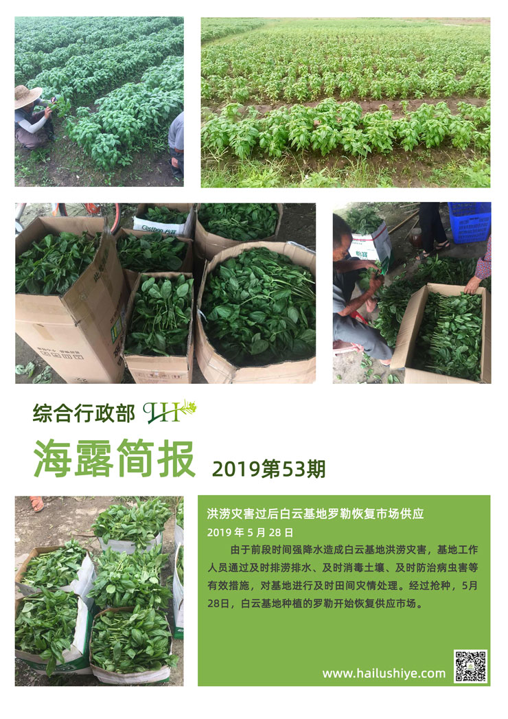 首页| 402cc永利集团中国区官方网站