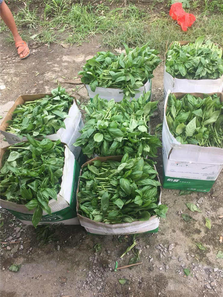 首页| 402cc永利集团中国区官方网站