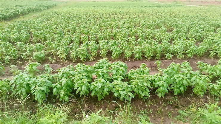 首页| 402cc永利集团中国区官方网站