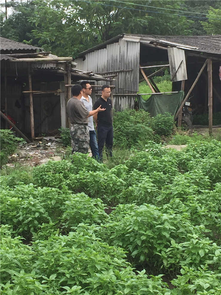 首页| 402cc永利集团中国区官方网站