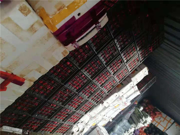 首页| 402cc永利集团中国区官方网站