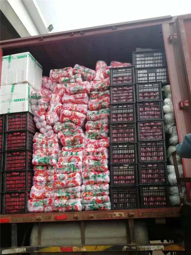 首页| 402cc永利集团中国区官方网站