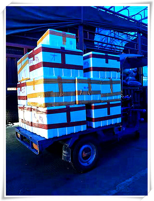 首页| 402cc永利集团中国区官方网站