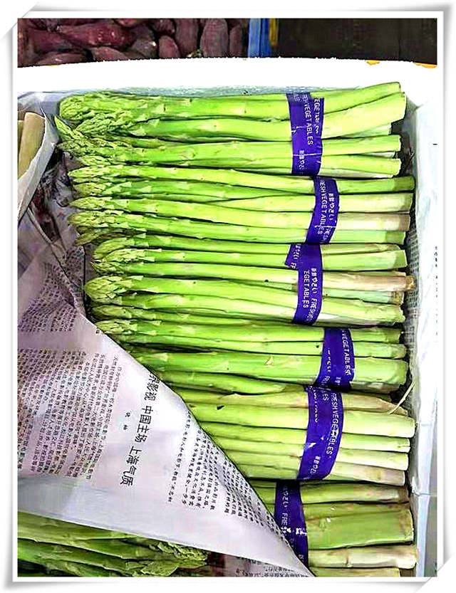 首页| 402cc永利集团中国区官方网站