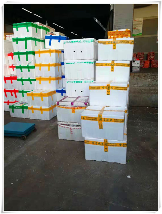 首页| 402cc永利集团中国区官方网站