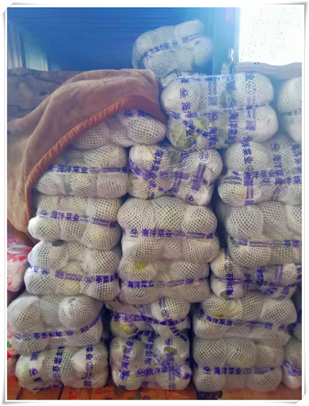 首页| 402cc永利集团中国区官方网站