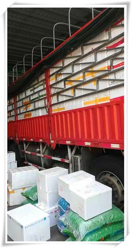 首页| 402cc永利集团中国区官方网站