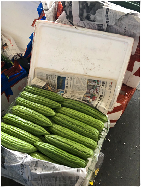 首页| 402cc永利集团中国区官方网站