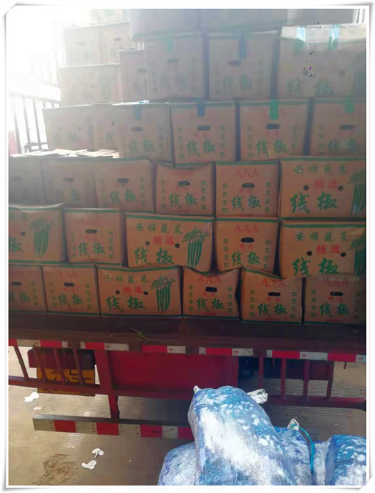 首页| 402cc永利集团中国区官方网站