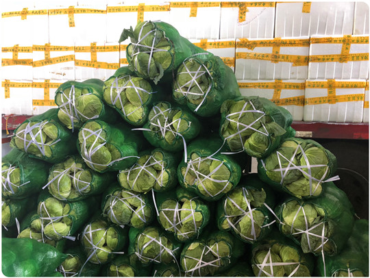 首页| 402cc永利集团中国区官方网站