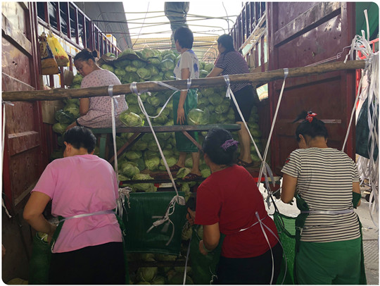 首页| 402cc永利集团中国区官方网站