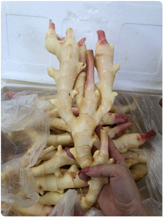 首页| 402cc永利集团中国区官方网站