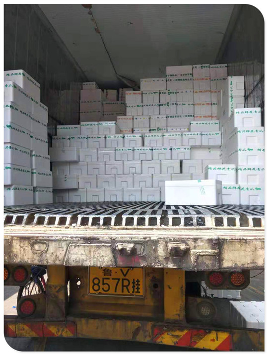 首页| 402cc永利集团中国区官方网站