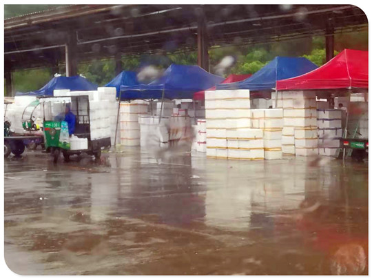 首页| 402cc永利集团中国区官方网站