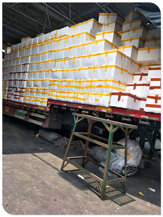 首页| 402cc永利集团中国区官方网站