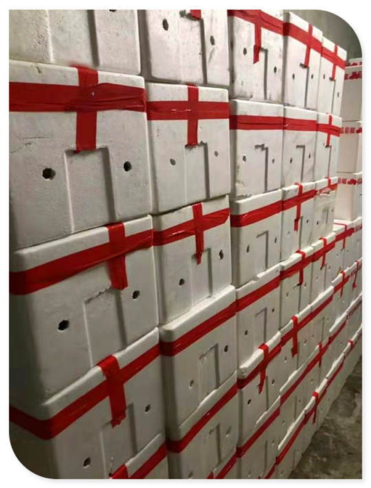 首页| 402cc永利集团中国区官方网站