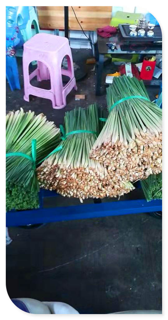 首页| 402cc永利集团中国区官方网站