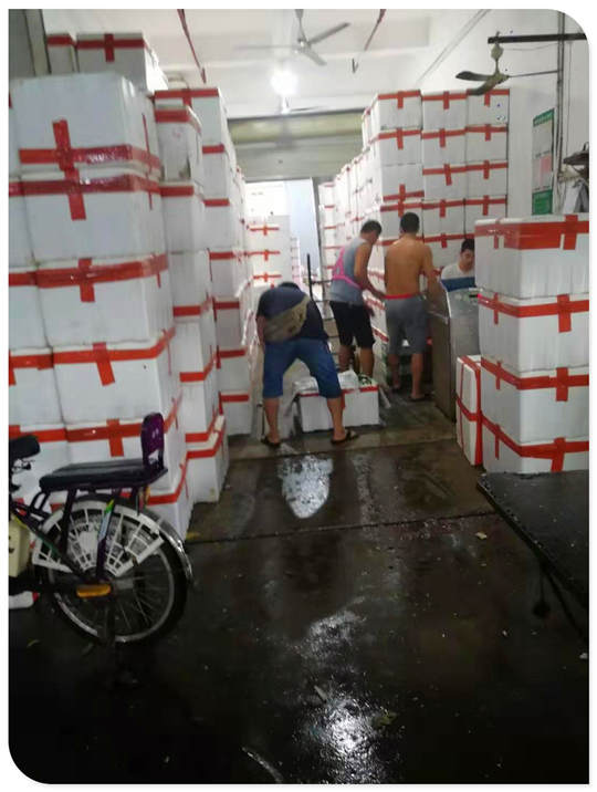 首页| 402cc永利集团中国区官方网站