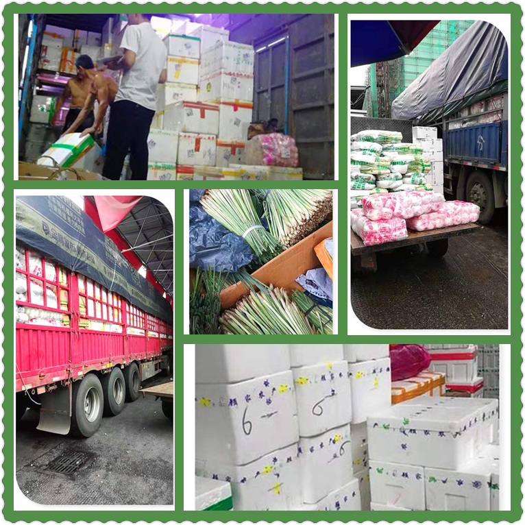 首页| 402cc永利集团中国区官方网站