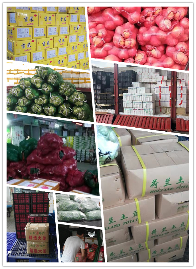 首页| 402cc永利集团中国区官方网站