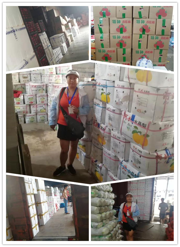 首页| 402cc永利集团中国区官方网站