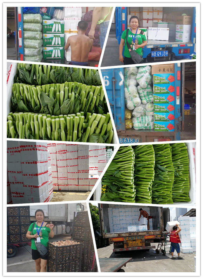 首页| 402cc永利集团中国区官方网站